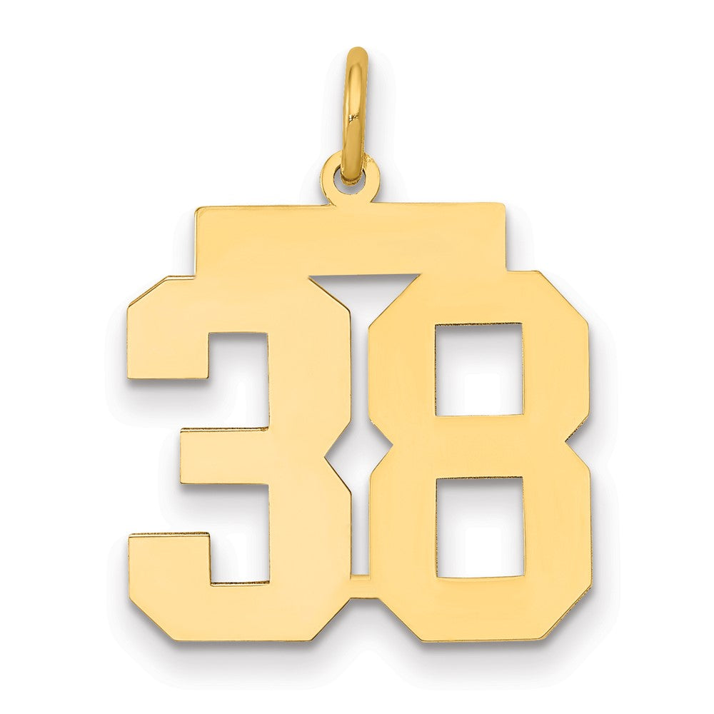 14K Yellow Gold Medium Polished Number 38 Charm