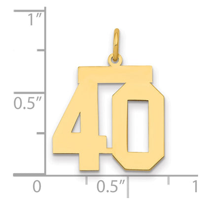 14K Yellow Gold Medium Polished Number 40 Charm