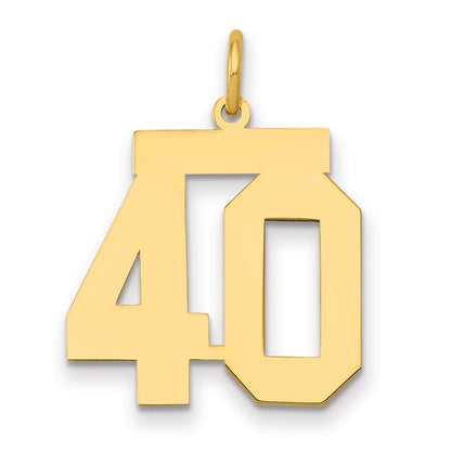 14K Yellow Gold Medium Polished Number 40 Charm
