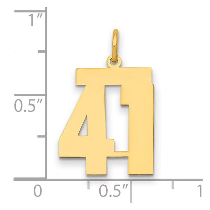 14K Yellow Gold Medium Polished Number 41 Charm