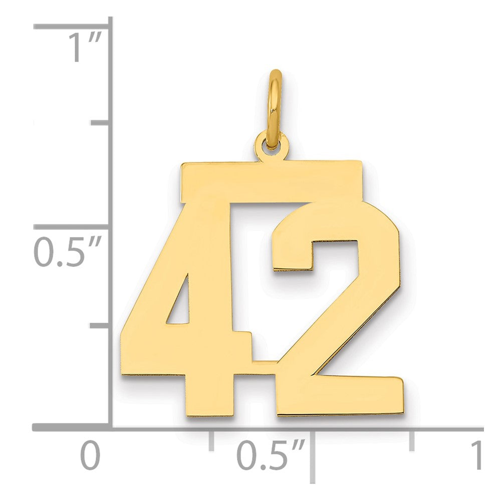 14K Yellow Gold Medium Polished Number 42 Charm