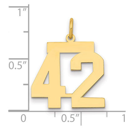 14K Yellow Gold Medium Polished Number 42 Charm