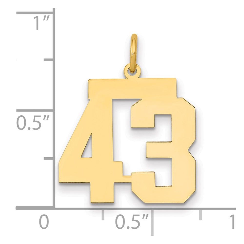 14K Yellow Gold Medium Polished Number 43 Charm