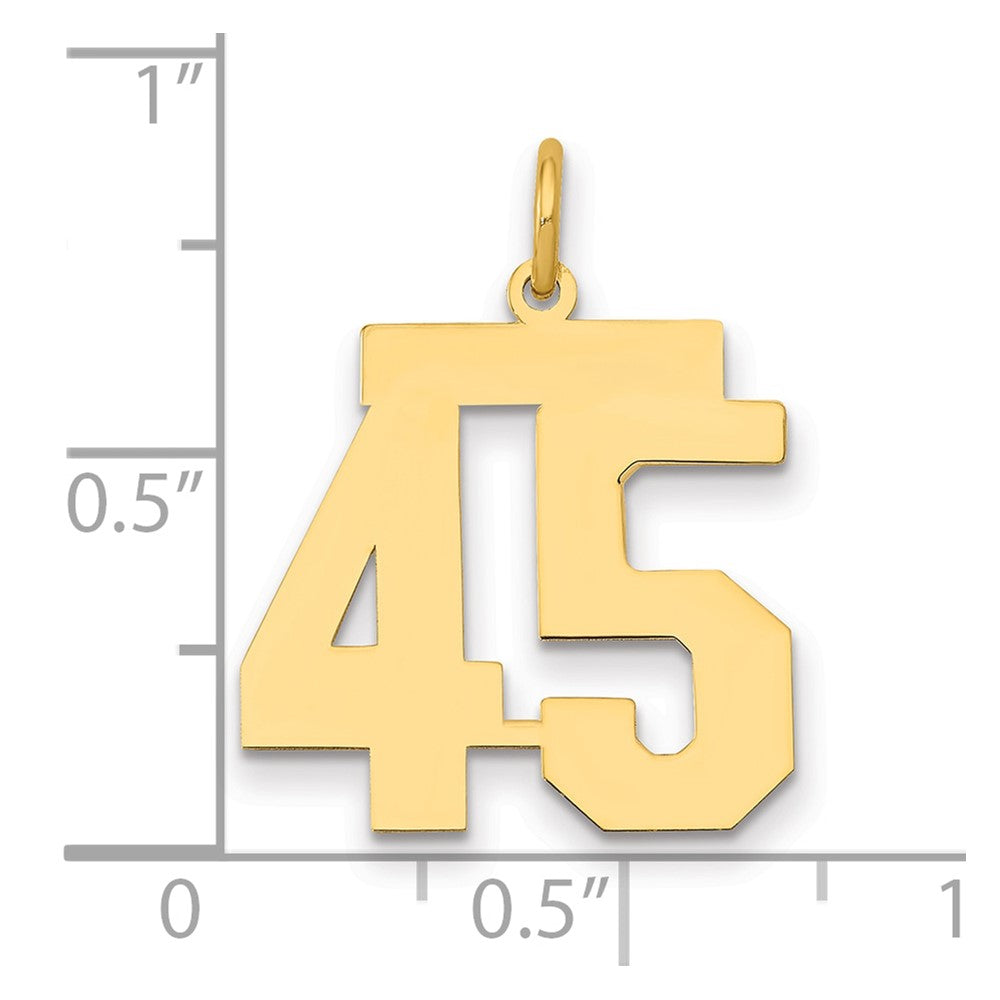 14K Yellow Gold Medium Polished Number 45 Charm