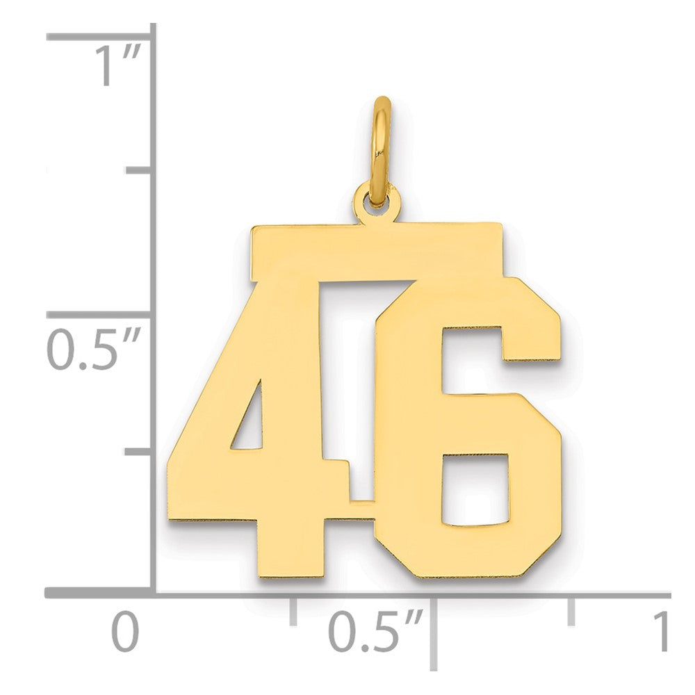 14K Yellow Gold Medium Polished Number 46 Charm