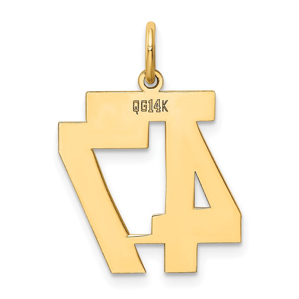 14k Yellow Gold 14k Medium Polished Number 47 Charm