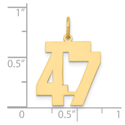14k Yellow Gold 14k Medium Polished Number 47 Charm