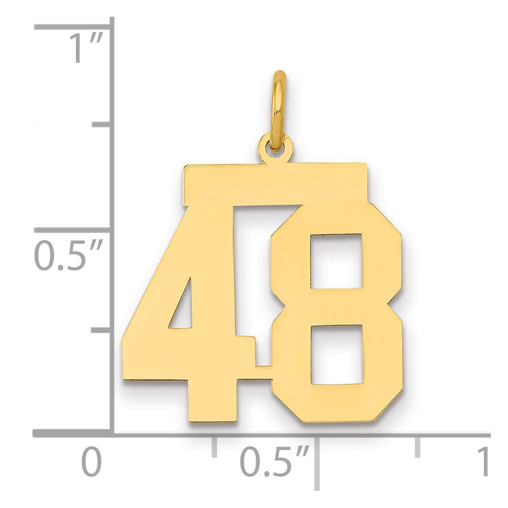 14K Yellow Gold Medium Polished Number 48 Charm