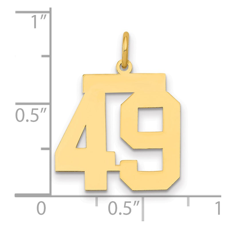 14K Yellow Gold Medium Polished Number 49 Charm