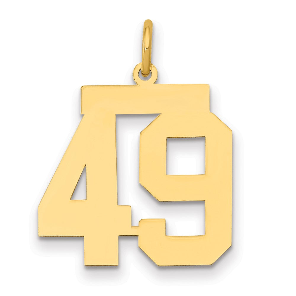14K Yellow Gold Medium Polished Number 49 Charm