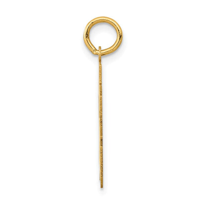 14k Yellow Gold 14k Medium Polished Number 53 Charm