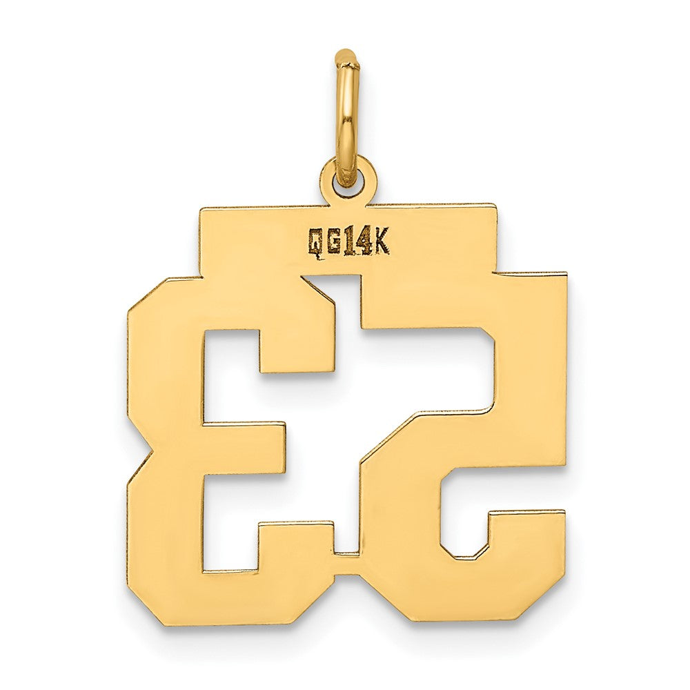 14k Yellow Gold 14k Medium Polished Number 53 Charm