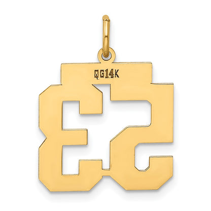 14k Yellow Gold 14k Medium Polished Number 53 Charm