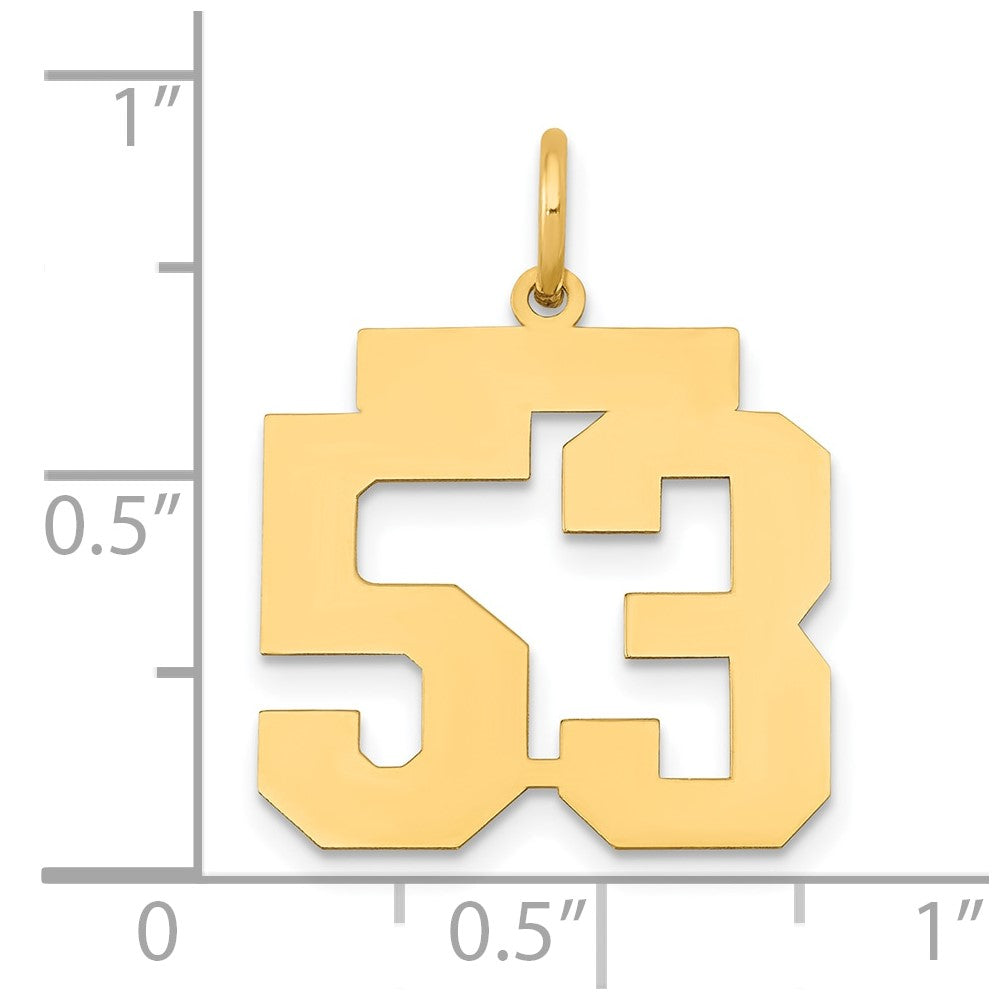 14k Yellow Gold 14k Medium Polished Number 53 Charm