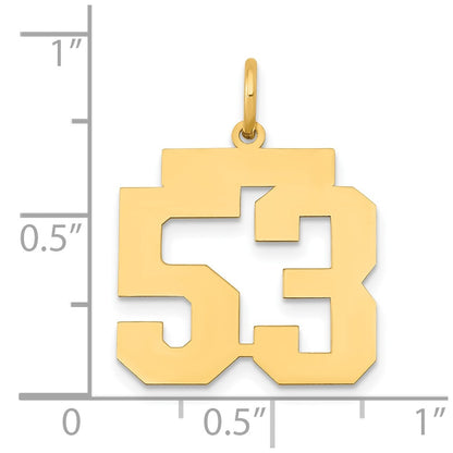 14k Yellow Gold 14k Medium Polished Number 53 Charm