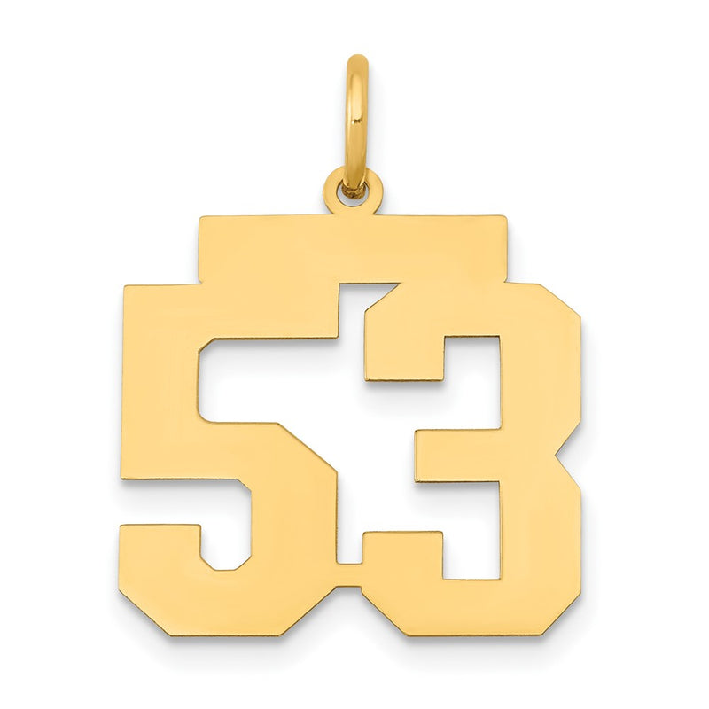 14k Yellow Gold 14k Medium Polished Number 53 Charm