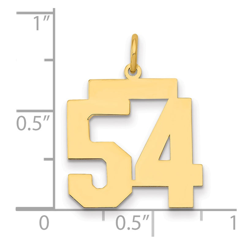 14K Yellow Gold Medium Polished Number 54 Charm