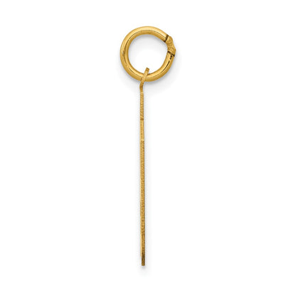 14k Yellow Gold 14k Medium Polished Number 59 Charm