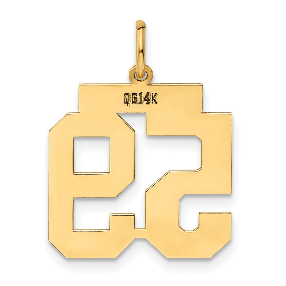 14k Yellow Gold 14k Medium Polished Number 59 Charm