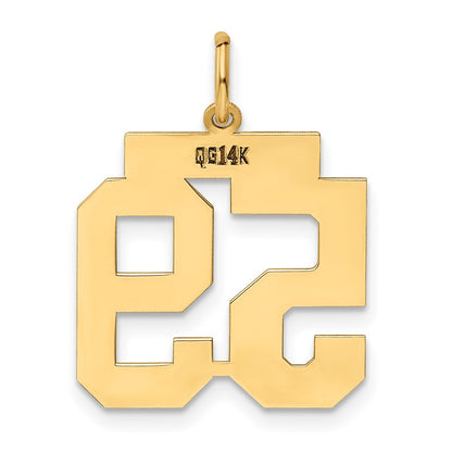 14k Yellow Gold 14k Medium Polished Number 59 Charm
