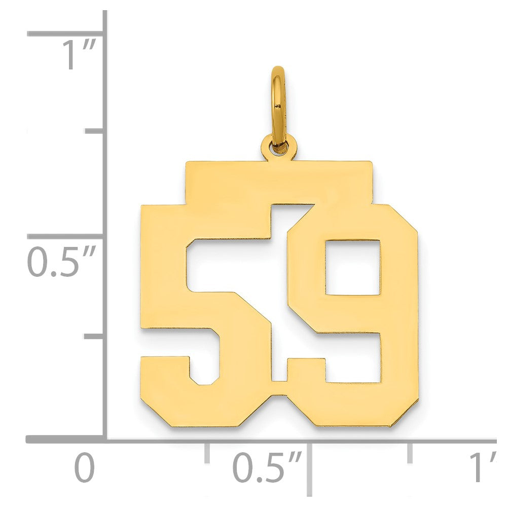14k Yellow Gold 14k Medium Polished Number 59 Charm