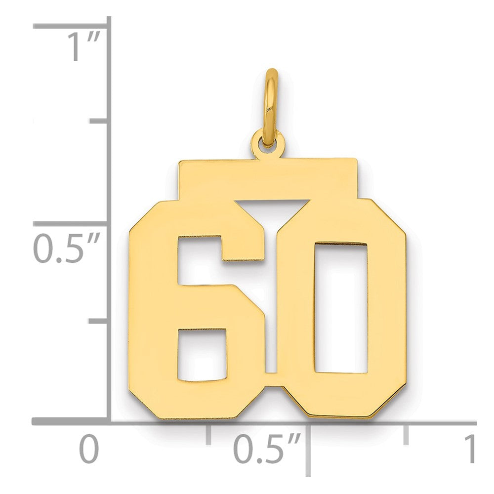 14k Yellow Gold 14k Medium Polished Number 60 Charm