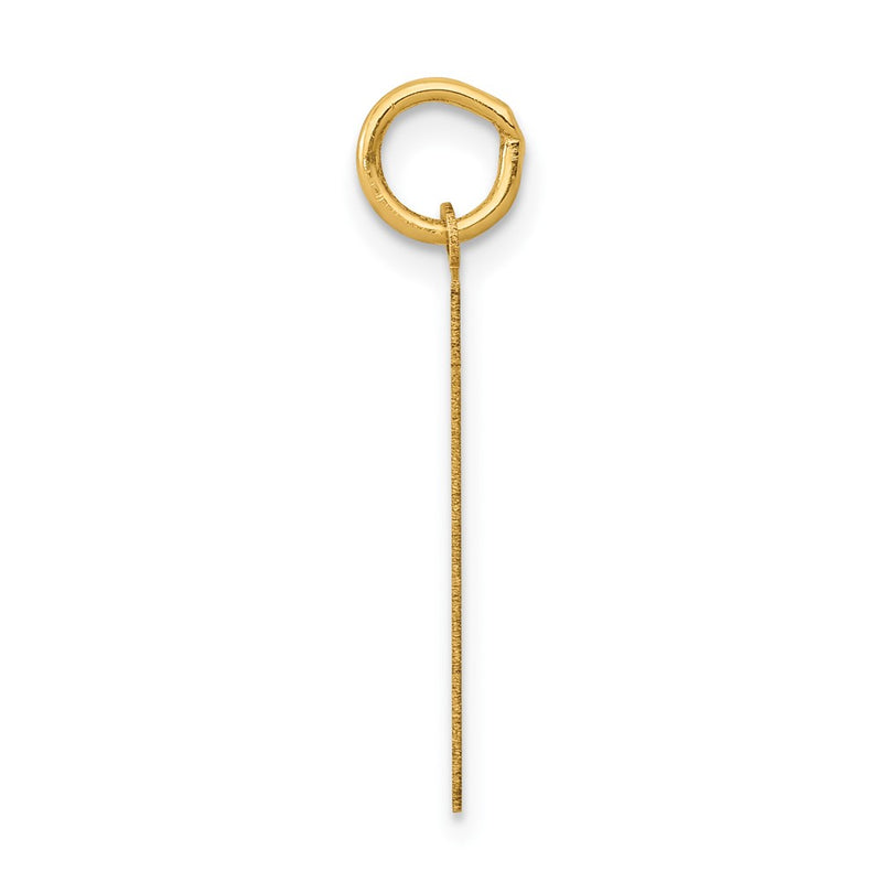 14k Yellow Gold 14k Medium Polished Number 61 Charm