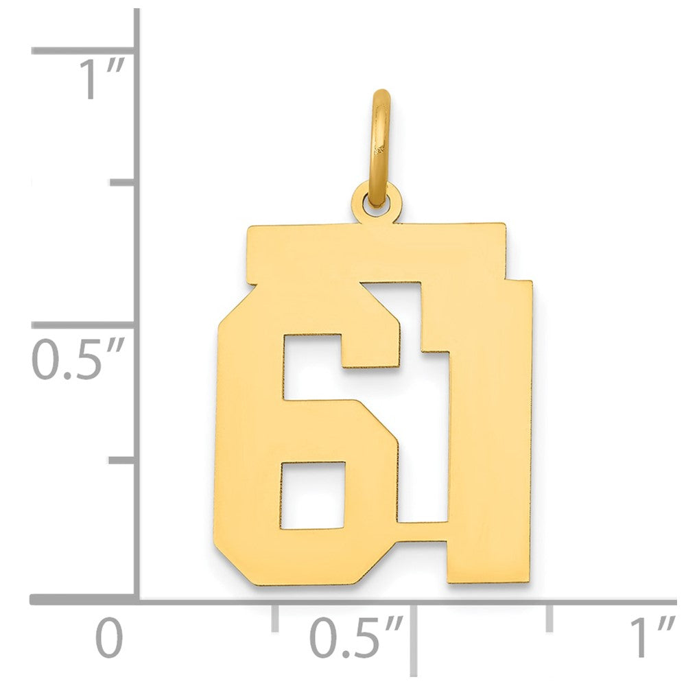 14k Yellow Gold 14k Medium Polished Number 61 Charm