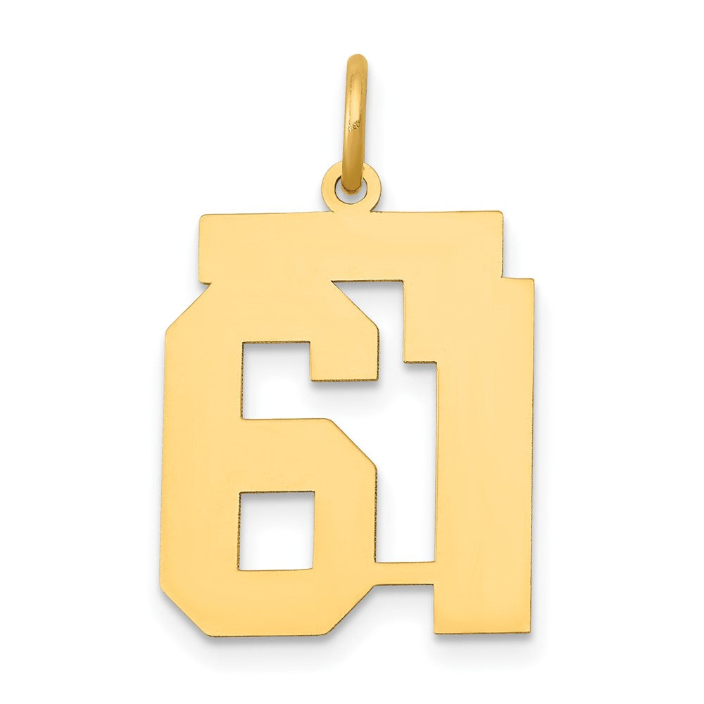 14k Yellow Gold 14k Medium Polished Number 61 Charm