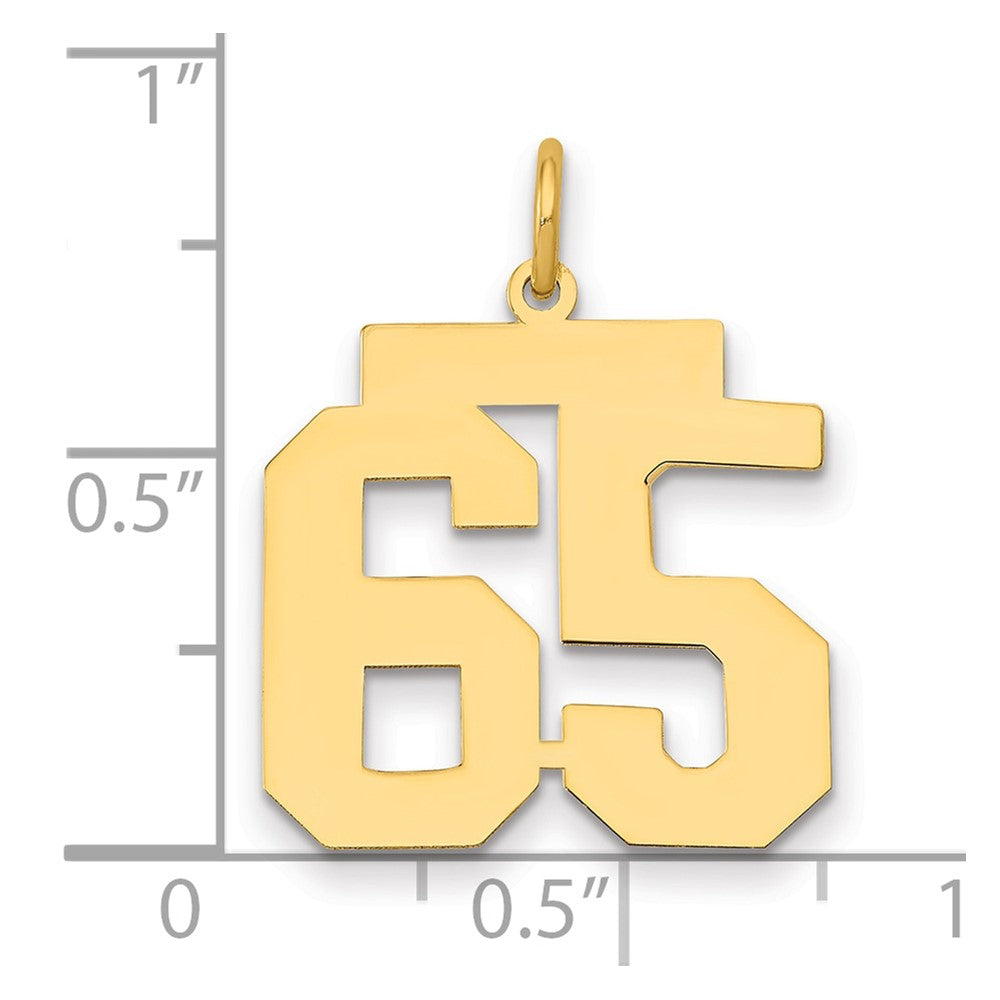 10K Yellow Gold Medium Polished Number 65 Charm