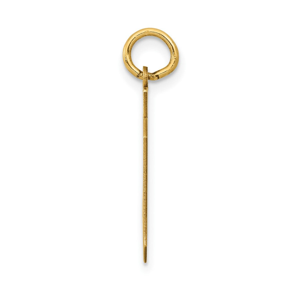 14K Yellow Gold Medium Polished Number 69 Charm