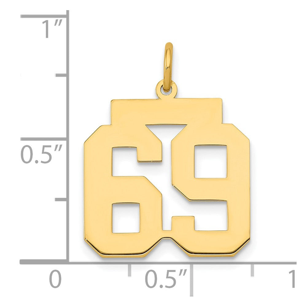 14K Yellow Gold Medium Polished Number 69 Charm
