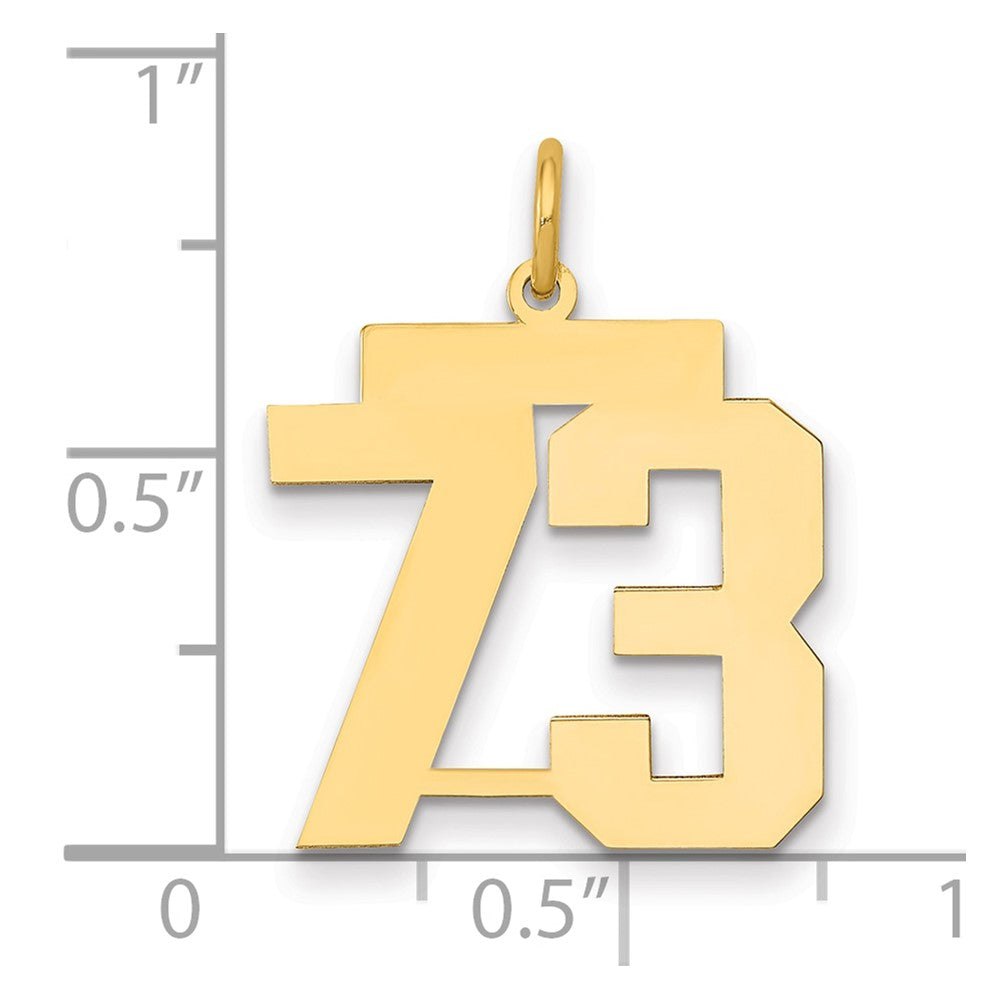 14K Yellow Gold Medium Polished Number 73 Charm
