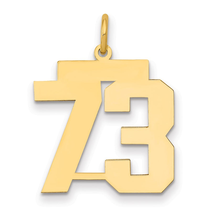 14K Yellow Gold Medium Polished Number 73 Charm
