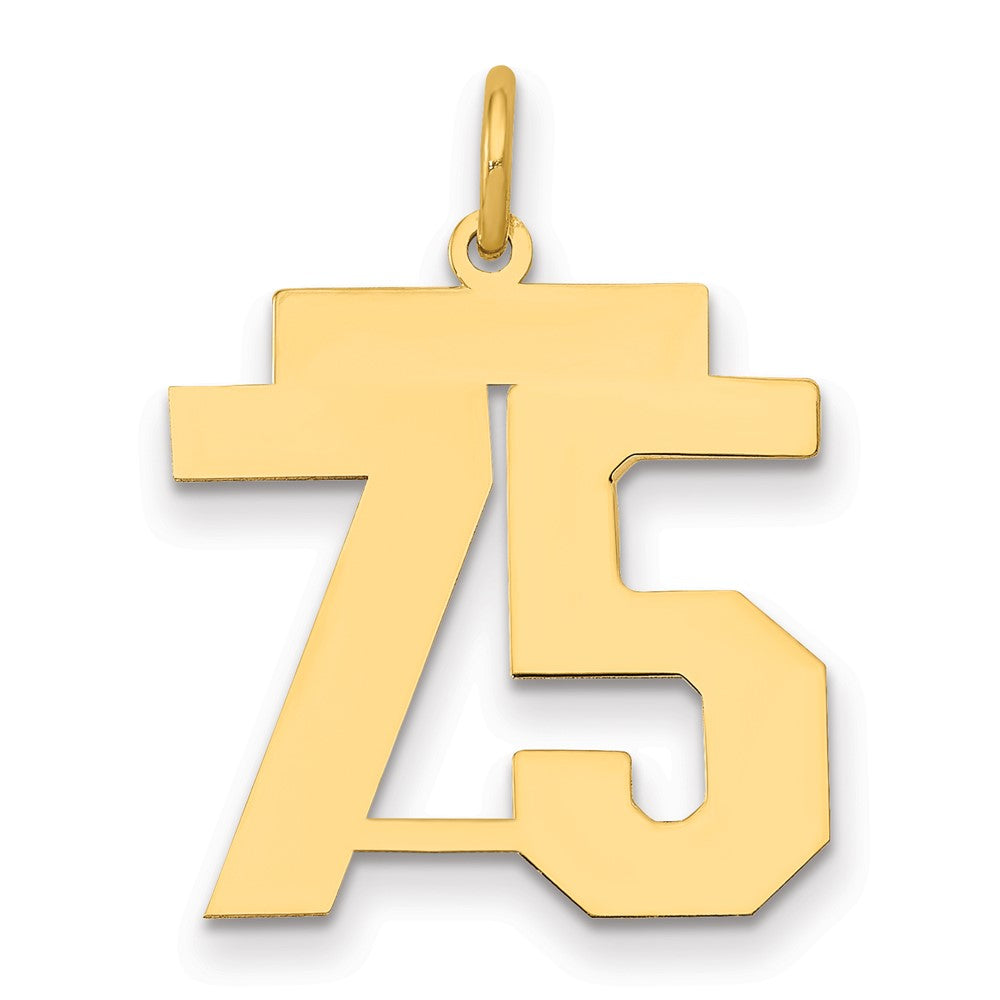 14K Yellow Gold Medium Polished Number 75 Charm