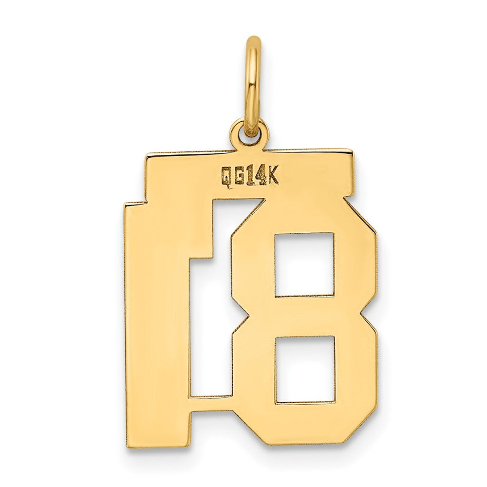14K Yellow Gold Medium Polished Number 81 Charm