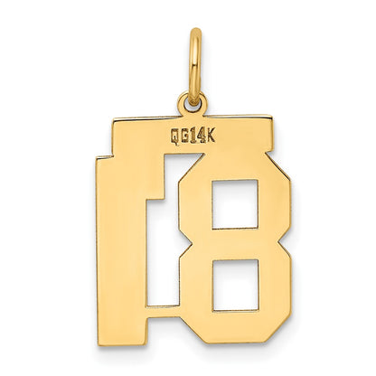 14K Yellow Gold Medium Polished Number 81 Charm