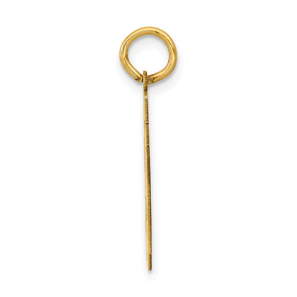 14K Yellow Gold Medium Polished Number 89 Charm