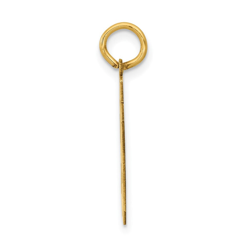 14K Yellow Gold Medium Polished Number 89 Charm