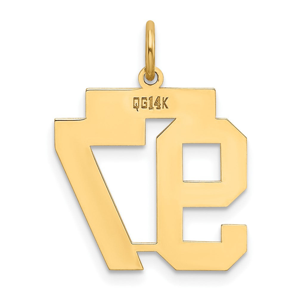 14k Yellow Gold 14k Medium Polished Number 97 Charm