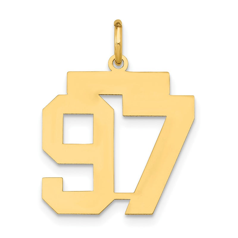 14k Yellow Gold 14k Medium Polished Number 97 Charm