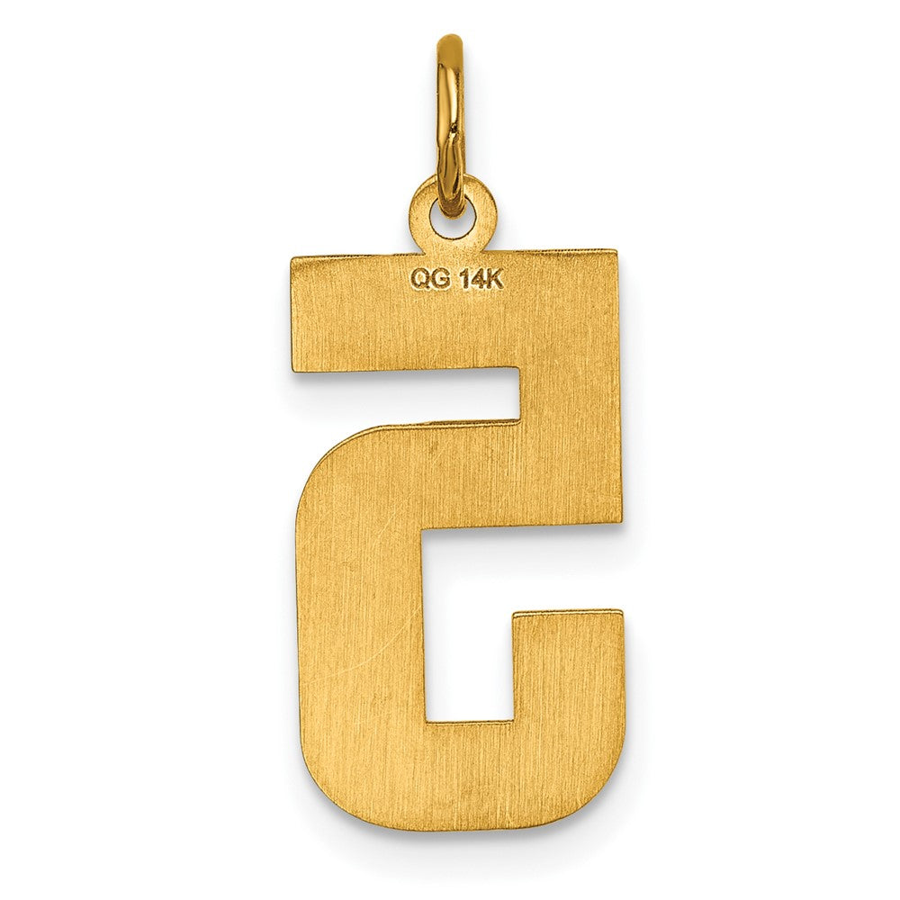 14k Yellow Gold Large Brushed Diamond-cut Number 5 Charm