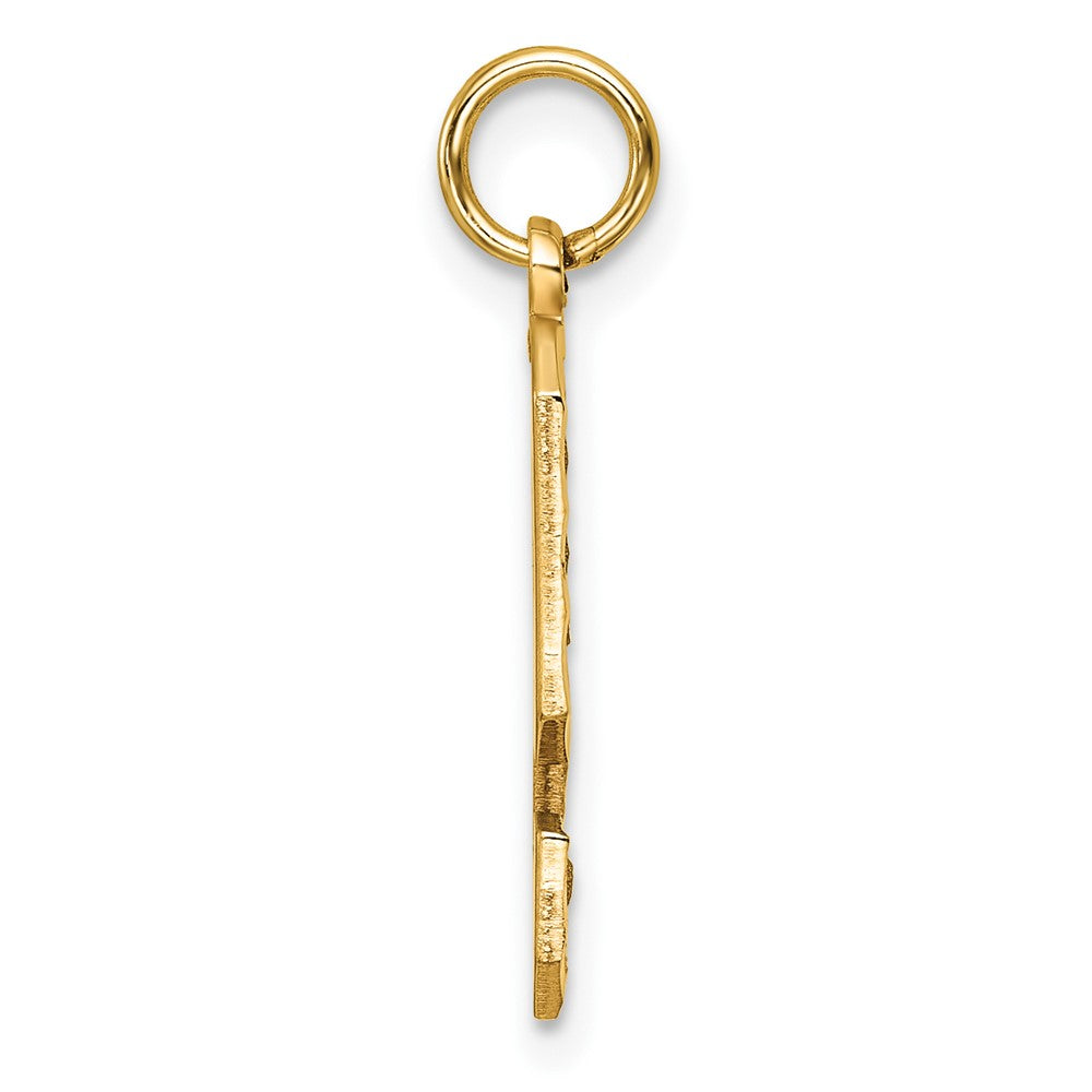 14k Yellow Gold Large Brushed Diamond-cut  Number 9 Charm