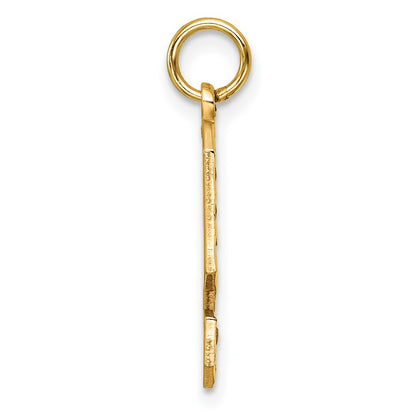 14k Yellow Gold Large Brushed Diamond-cut  Number 9 Charm