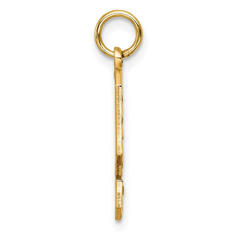 14k Yellow Gold Large Brushed Diamond-cut  Number 9 Charm