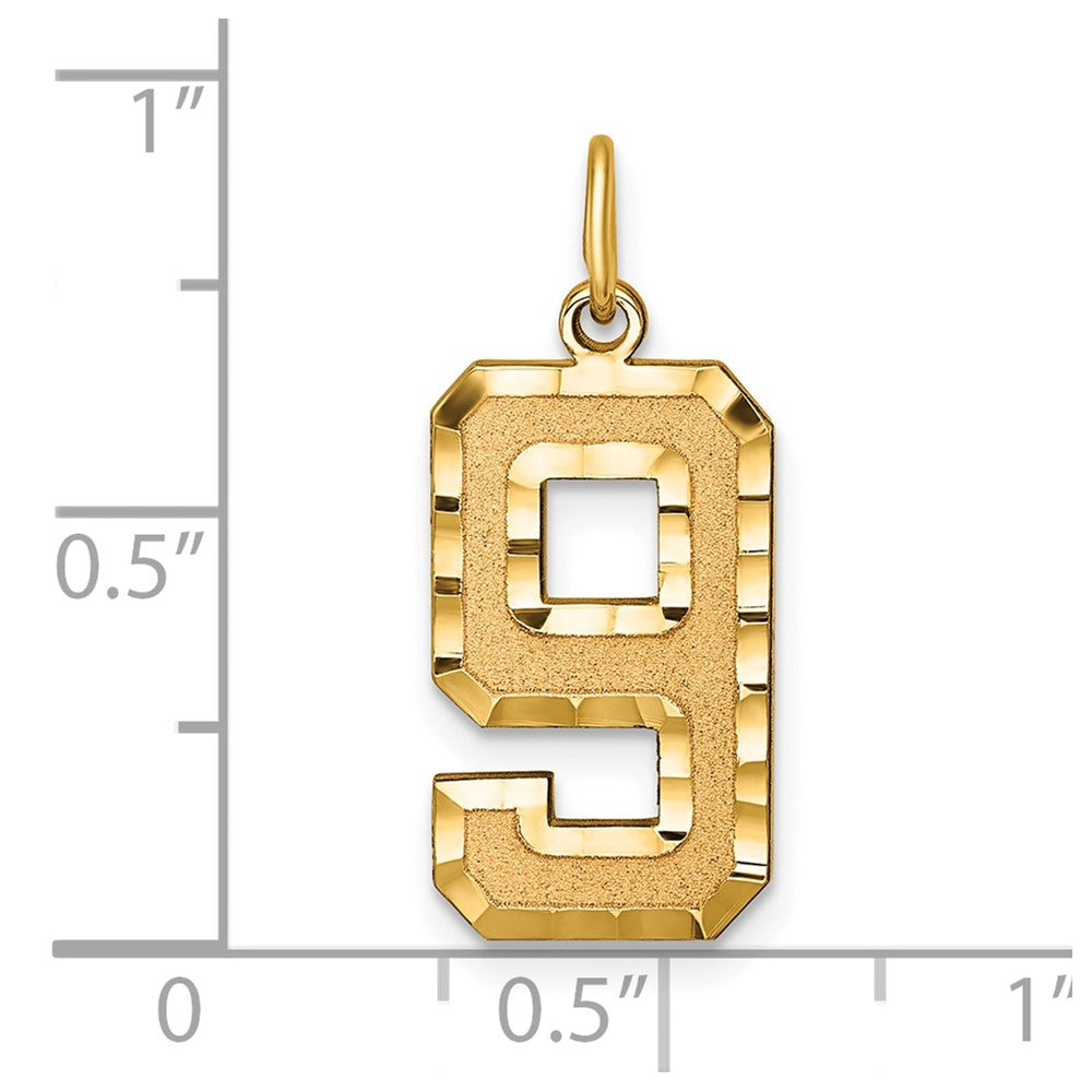 14k Yellow Gold Large Brushed Diamond-cut  Number 9 Charm