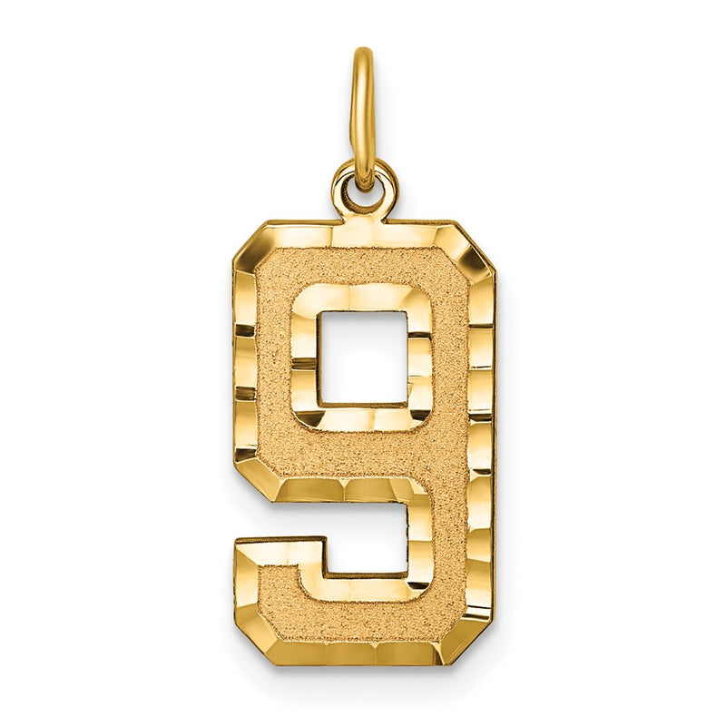 14k Yellow Gold Large Brushed Diamond-cut  Number 9 Charm