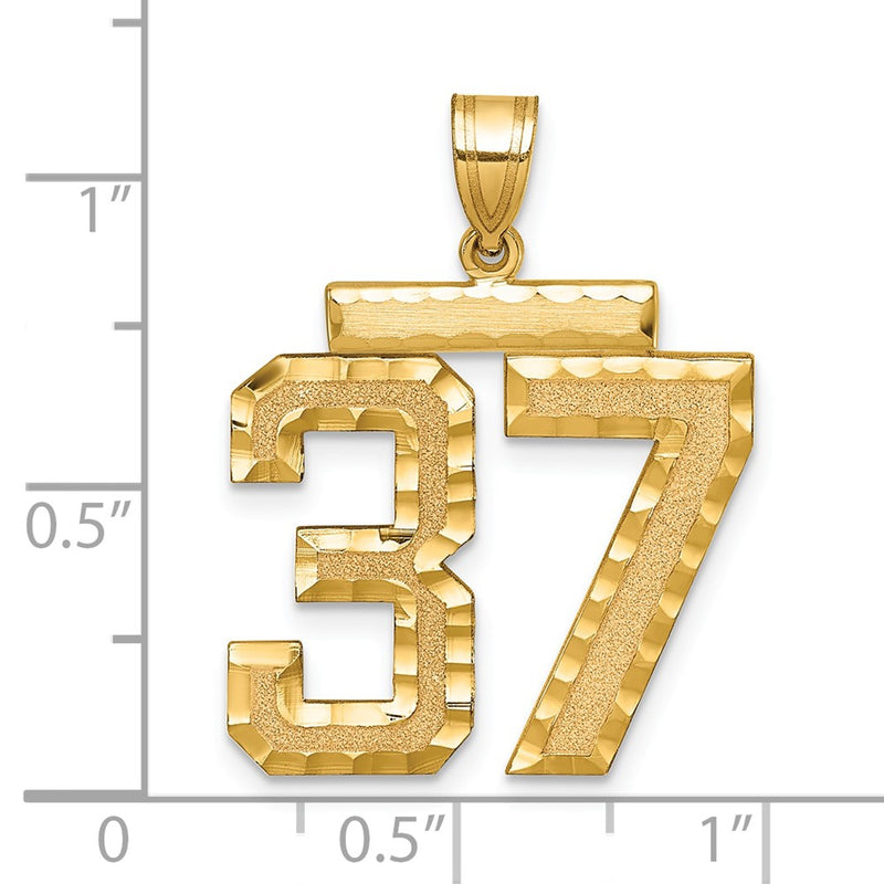 14k Yellow Gold Large Brushed Diamond-cut Number 37 Charm