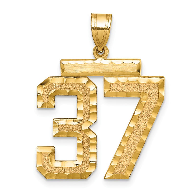 14k Yellow Gold Large Brushed Diamond-cut Number 37 Charm