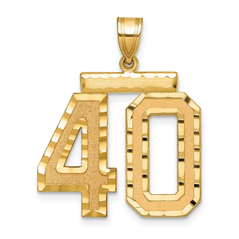 14k Yellow Gold Large Brushed Diamond-cut Number 40 Charm